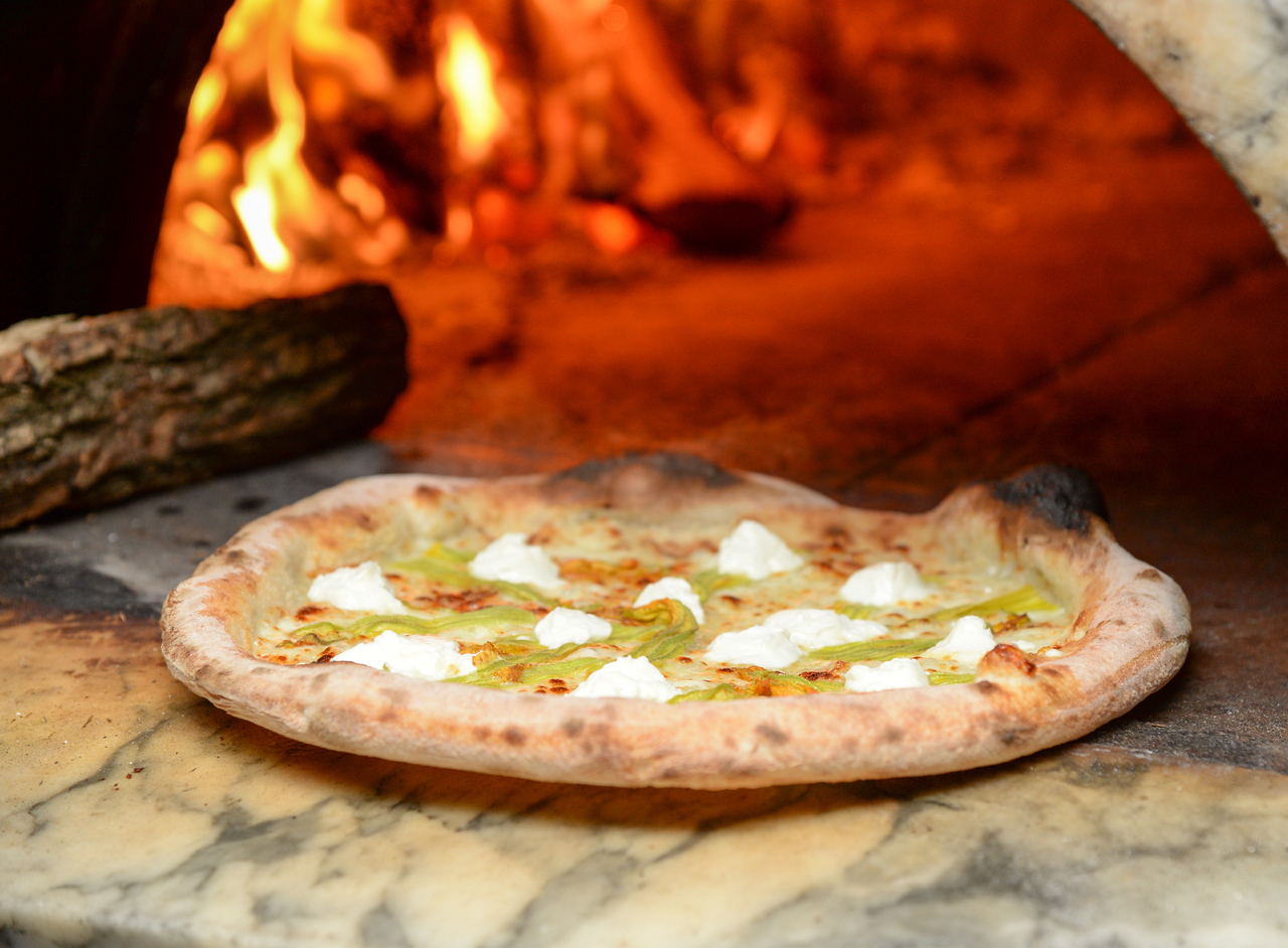 Goat's cheese and squash blossom pizza